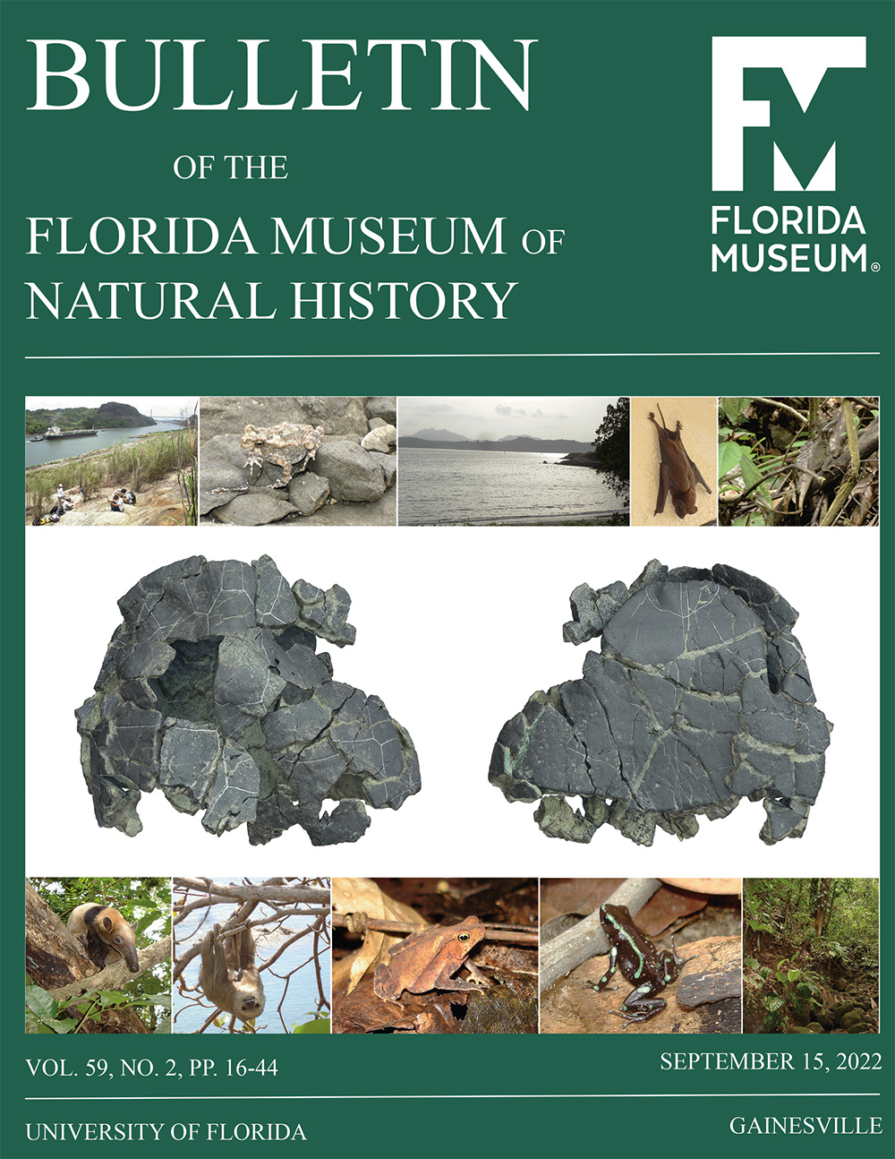  Forachelys woodi partial carapace and plastron in dorsal (left) and ventral (right) views, framed by images taken from the Panama Canal area during fieldwork between 2010 and 2013. 
