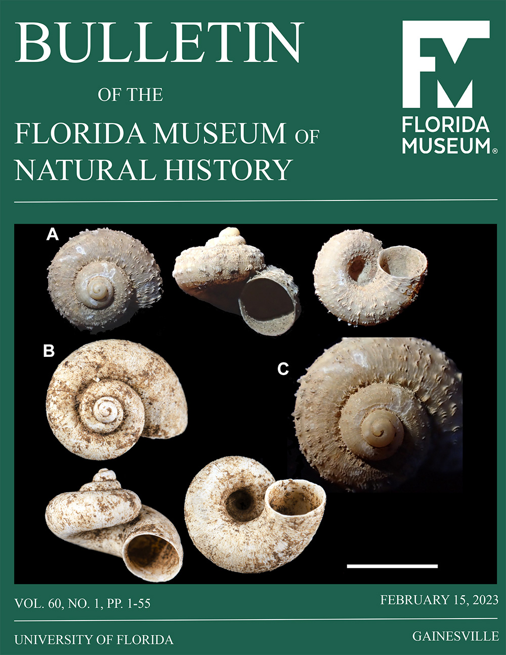Journal cover with title Bulletin of the Florida Museum of Natural History and images of Cyclotopsis pectinata, one of 24 new species described from north-west Madagascar