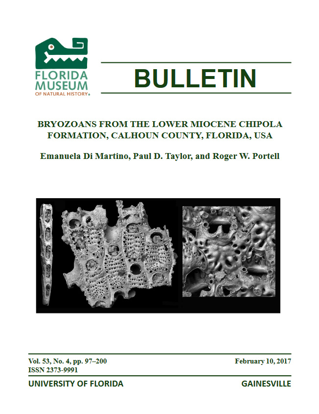 Journal cover with image of Figularia sp., UF 265732