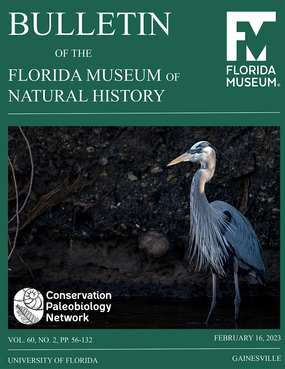 Journal cover with title Bulletin of the Florida Museum of Natural History and a photograph of a great blue heron