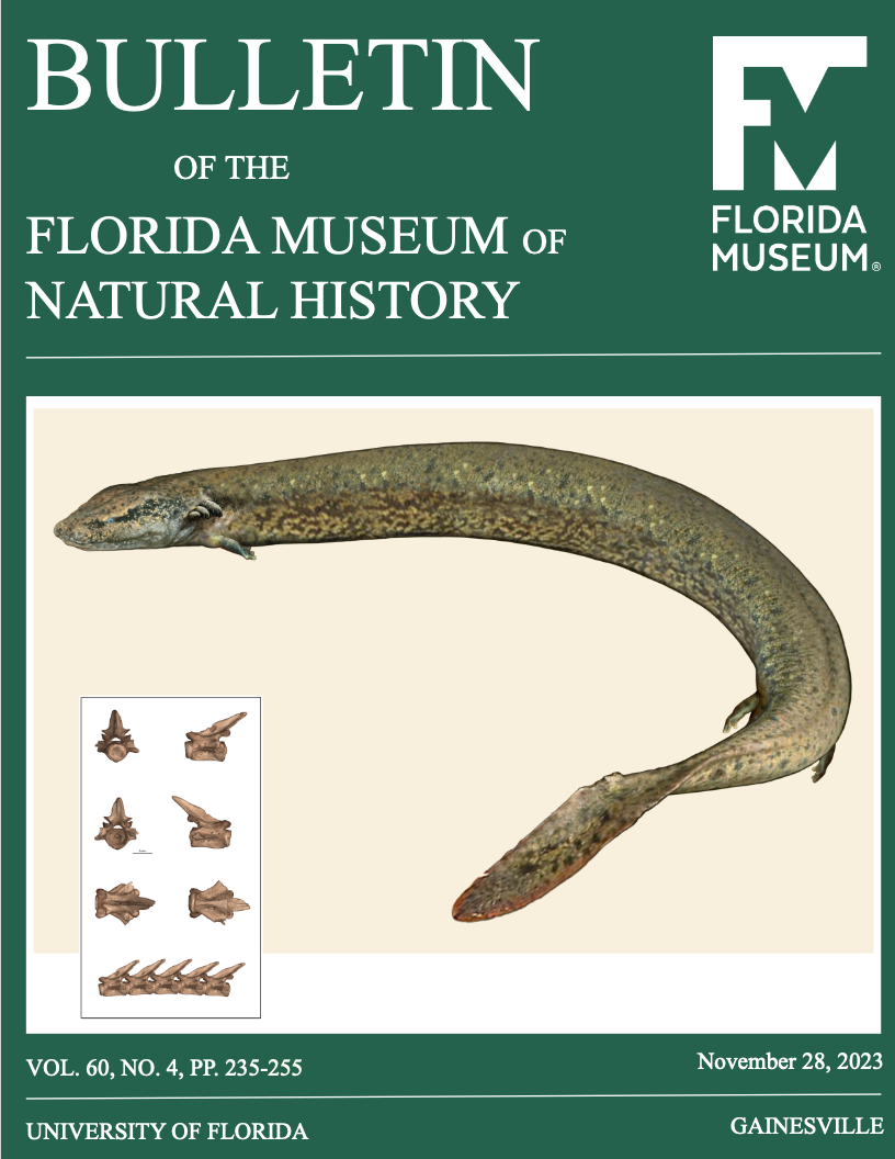 Hypothetical reconstruction of the extinct salamander Batrachosauroides and multiple views of a fossil trunk vertebra (UF 111741) from the Willacoochee Creek Fauna (inset)